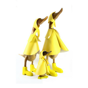 Raincoat Ducks (Individual or as a Family)